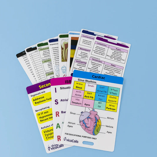 Study Flashcards